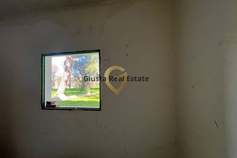 Villa a Mesagne, Brindisi, Mesagne - € 58.000 | Ref: 9090-91597 - foto 9