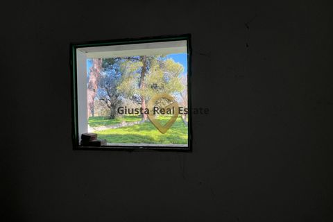 Villa a Mesagne, Brindisi, Mesagne - € 58.000 | Ref: 9090-91597 - foto 10