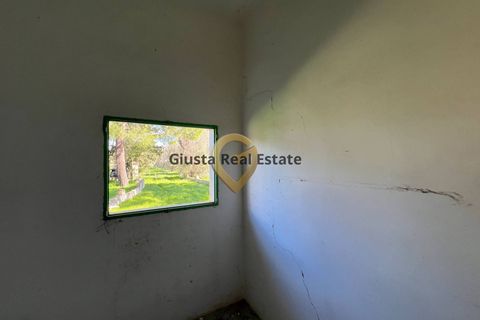Villa a Mesagne, Brindisi, Mesagne - € 58.000 | Ref: 9090-91597 - foto 12