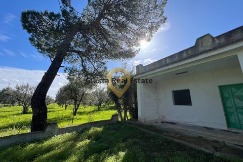Villa a Mesagne, Brindisi, Mesagne - € 58.000 | Ref: 9090-91597 - foto 13