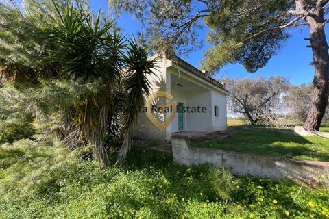 Villa a Mesagne, Brindisi, Mesagne - € 58.000 | Ref: 9090-91597 - foto 14