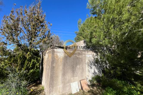Villa a Mesagne, Brindisi, Mesagne - € 58.000 | Ref: 9090-91597 - foto 15