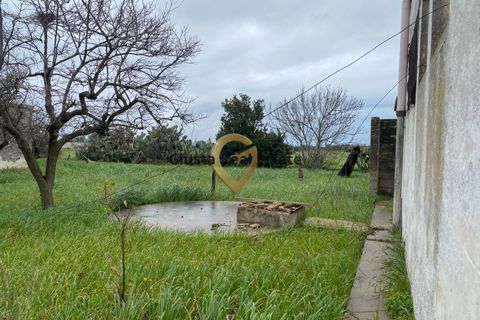 Landejendom i Brindisi, Brindisi, Brindisi - € 69.000 | Ref: 9090-91600 - foto 8