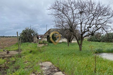 Landejendom i Brindisi, Brindisi, Brindisi - € 69.000 | Ref: 9090-91600 - foto 9