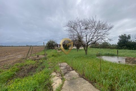 Landejendom i Brindisi, Brindisi, Brindisi - € 69.000 | Ref: 9090-91600 - foto 10
