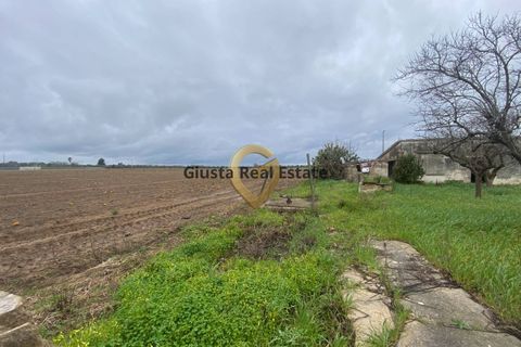 Landejendom i Brindisi, Brindisi, Brindisi - € 69.000 | Ref: 9090-91600 - foto 11