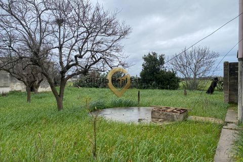 Landejendom i Brindisi, Brindisi, Brindisi - € 69.000 | Ref: 9090-91600 - foto 12