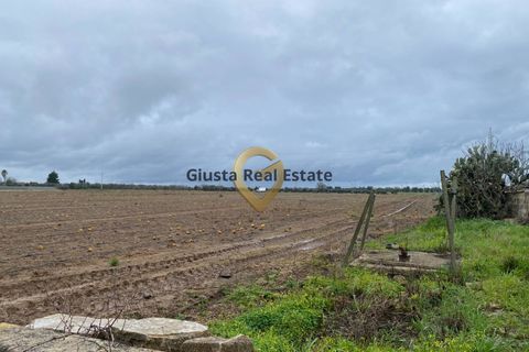 Landejendom i Brindisi, Brindisi, Brindisi - € 69.000 | Ref: 9090-91600 - foto 13