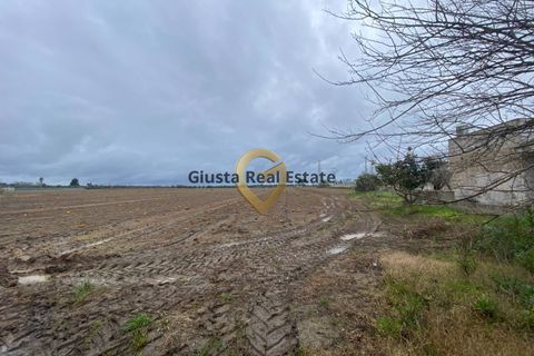 Landejendom i Brindisi, Brindisi, Brindisi - € 69.000 | Ref: 9090-91600 - foto 14