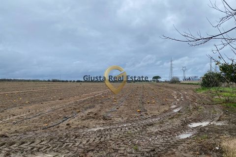 Landejendom i Brindisi, Brindisi, Brindisi - € 69.000 | Ref: 9090-91600 - foto 15