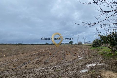 Landejendom i Brindisi, Brindisi, Brindisi - € 69.000 | Ref: 9090-91600 - foto 16