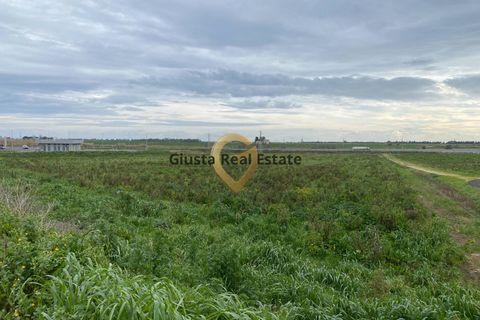 Grond in Brindisi, Brindisi, Brindisi - € 69.000 | Ref: 9090-91606 - foto 2