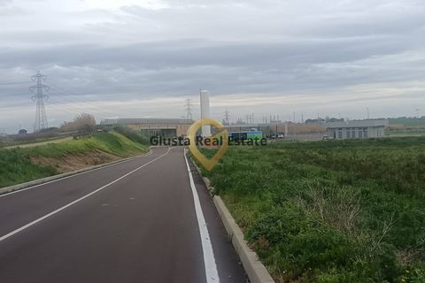 Grond in Brindisi, Brindisi, Brindisi - € 69.000 | Ref: 9090-91606 - foto 4