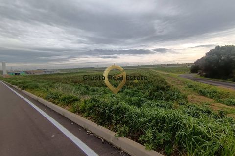 Grond in Brindisi, Brindisi, Brindisi - € 69.000 | Ref: 9090-91606 - foto 5