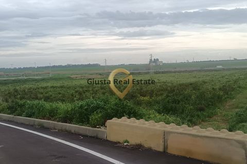 Grond in Brindisi, Brindisi, Brindisi - € 69.000 | Ref: 9090-91606 - foto 8
