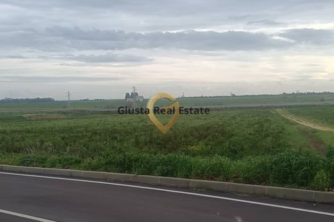 Grond in Brindisi, Brindisi, Brindisi - € 69.000 | Ref: 9090-91606 - foto 10