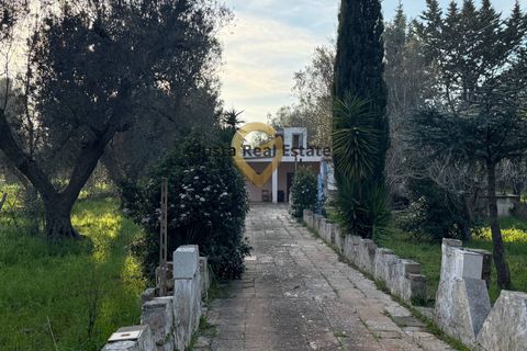 Villa a Latiano, Brindisi, Latiano - € 65.000 | Ref: 9090-91613 - foto 3