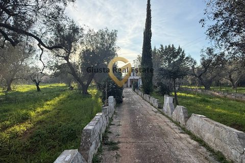 Villa a Latiano, Brindisi, Latiano - € 65.000 | Ref: 9090-91613 - foto 6