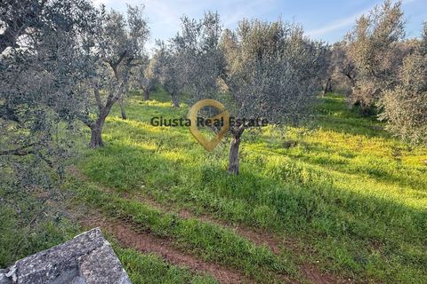 Villa a Latiano, Brindisi, Latiano - € 65.000 | Ref: 9090-91613 - foto 7