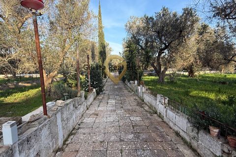 Villa a Latiano, Brindisi, Latiano - € 65.000 | Ref: 9090-91613 - foto 9