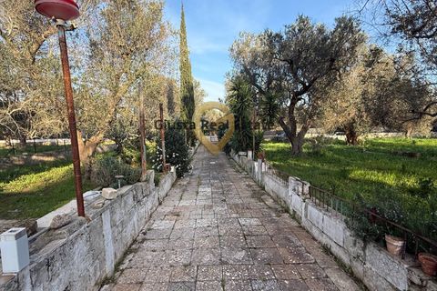 Villa a Latiano, Brindisi, Latiano - € 65.000 | Ref: 9090-91613 - foto 10