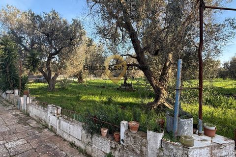 Villa a Latiano, Brindisi, Latiano - € 65.000 | Ref: 9090-91613 - foto 11