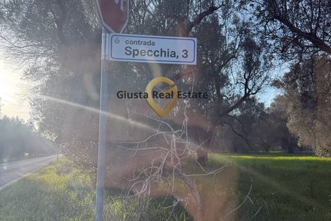 Villa a Latiano, Brindisi, Latiano - € 65.000 | Ref: 9090-91613 - foto 18
