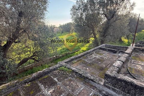 Villa a Latiano, Brindisi, Latiano - € 65.000 | Ref: 9090-91613 - foto 19