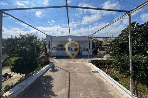 Villa a Latiano, Brindisi, Latiano - € 123.000 | Ref: 9090-91626 - foto 4
