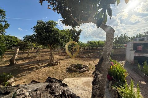 Villa a Latiano, Brindisi, Latiano - € 123.000 | Ref: 9090-91626 - foto 7