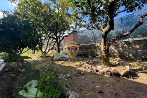 Villa a Latiano, Brindisi, Latiano - € 123.000 | Ref: 9090-91626 - foto 8