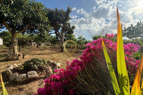 Villa a Latiano, Brindisi, Latiano - € 123.000 | Ref: 9090-91626 - foto 9