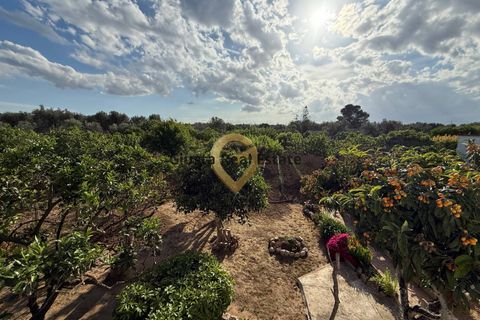 Villa a Latiano, Brindisi, Latiano - € 123.000 | Ref: 9090-91626 - foto 10