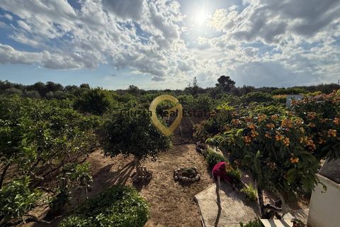 Villa a Latiano, Brindisi, Latiano - € 123.000 | Ref: 9090-91626 - foto 11