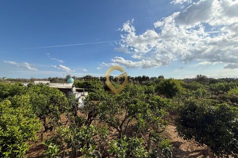 Villa a Latiano, Brindisi, Latiano - € 123.000 | Ref: 9090-91626 - foto 12