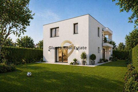 Terra a Mesagne, Brindisi, Mesagne - € 58.000 | Ref: 9090-91645 - foto 2