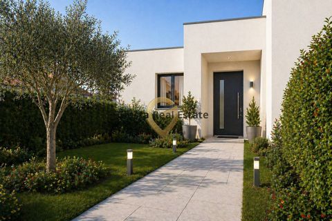 Terra a Mesagne, Brindisi, Mesagne - € 58.000 | Ref: 9090-91645 - foto 4