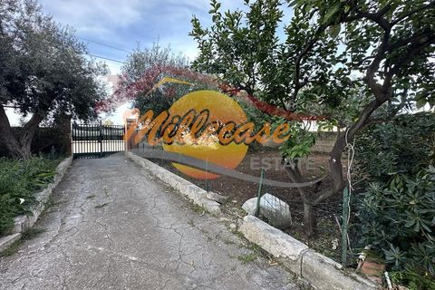 Villa i Siracusa, Siracusa, Siracusa - € 270.000 | Ref: RIF2999/270SCALAGRECA - foto 3