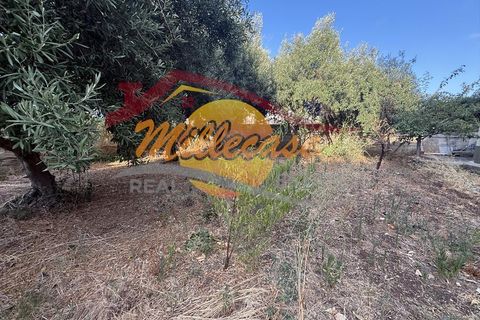 Villa i Siracusa, Siracusa, Siracusa - € 270.000 | Ref: RIF2999/270SCALAGRECA - foto 11