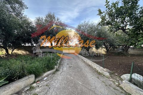 Villa i Siracusa, Siracusa, Siracusa - € 270.000 | Ref: RIF2999/270SCALAGRECA - foto 12
