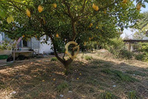 Villa i Oria, Brindisi, Oria - € 155.000 | Ref: 9090-91660 - foto 21
