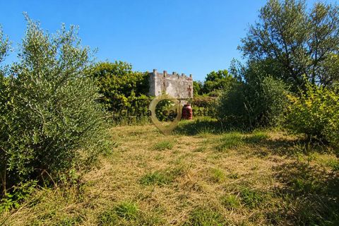 Villa i Oria, Brindisi, Oria - € 155.000 | Ref: 9090-91660 - foto 22