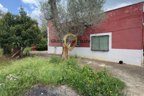 Villa a Latiano, Brindisi, Latiano - € 89.000 | Ref: 9090-91663 - foto 2
