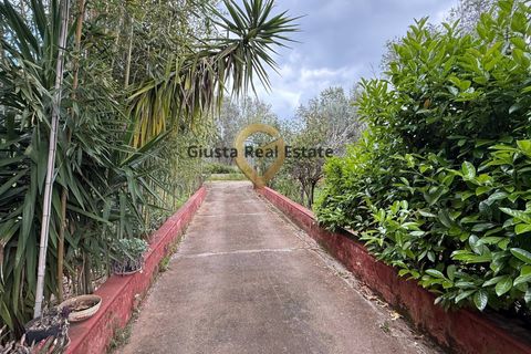 Villa a Latiano, Brindisi, Latiano - € 89.000 | Ref: 9090-91663 - foto 3