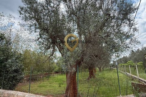 Villa a Latiano, Brindisi, Latiano - € 89.000 | Ref: 9090-91663 - foto 4