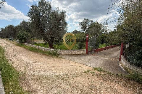 Villa a Latiano, Brindisi, Latiano - € 89.000 | Ref: 9090-91663 - foto 5