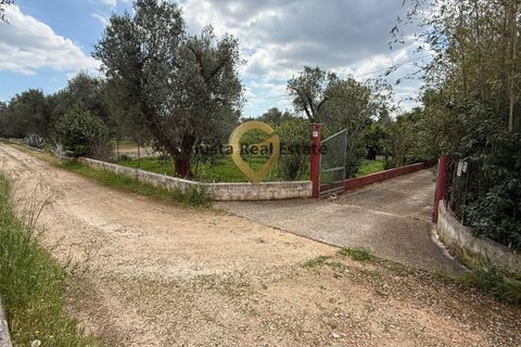 Villa a Latiano, Brindisi, Latiano - € 89.000 | Ref: 9090-91663 - foto 6