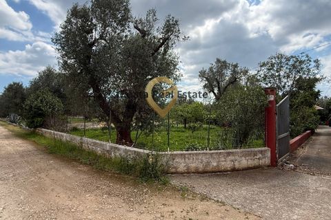 Villa a Latiano, Brindisi, Latiano - € 89.000 | Ref: 9090-91663 - foto 7