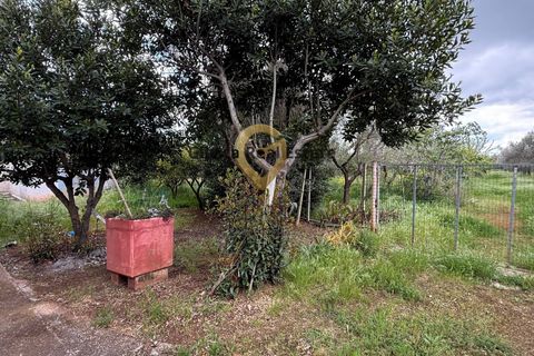 Villa a Latiano, Brindisi, Latiano - € 89.000 | Ref: 9090-91663 - foto 10