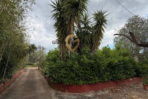 Villa a Latiano, Brindisi, Latiano - € 89.000 | Ref: 9090-91663 - foto 11